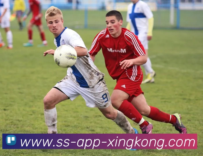 数据防护可视化